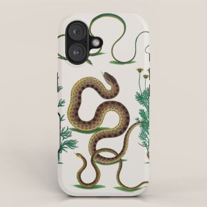 Albertus Seba Three Snakes Illustration Locupletissimi rerum naturalium thesauri accurata descriptio iPhone Case
