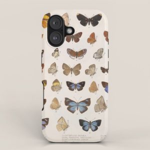 Vintage Scientific Insect Butterfly Moth Biological Hand Drawn Species Art Illustration iPhone Case