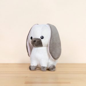 Lop Bunni the Lop Eared Rabbit