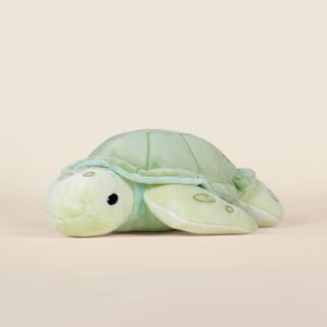 Sea Torti the Sea Turtle