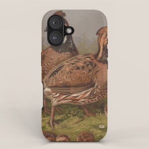 Vintage Quails & Their Chicks Illustration (1867) iPhone Case