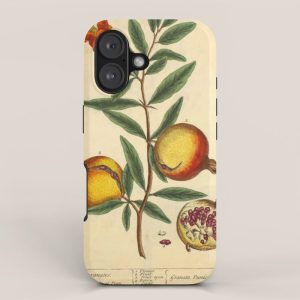 Pomegranate by Elizabeth Blackwell from "A Curious Herbal," 1737 (benefiting The Nature Conservancy) iPhone Case